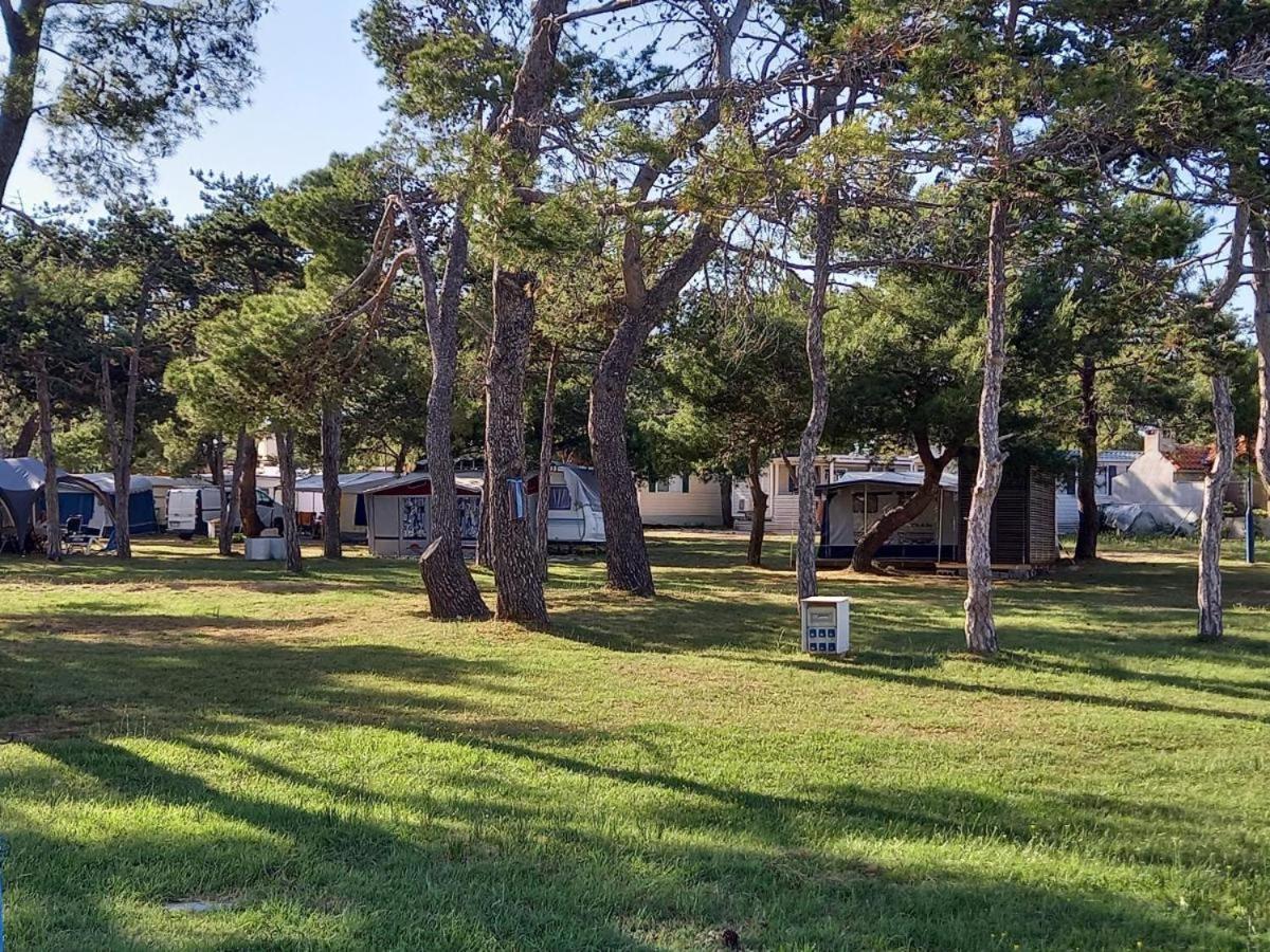 Sand & Relax Privlaka - Mobile Home Gloria Dış mekan fotoğraf